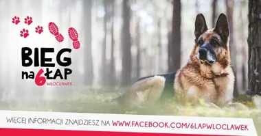 Bieg na 6 Łap